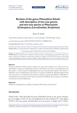 Revision of the Genus Phloeoditica Schedl - with Description of Two New Genera and Two New Species in Phloeosinini (Coleoptera, Curculionidae, Scolytinae)