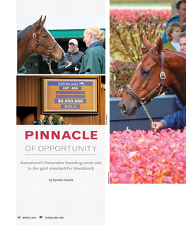 PINNACLE of OPPORTUNITY Is Thegoldstandard Forbloodstock