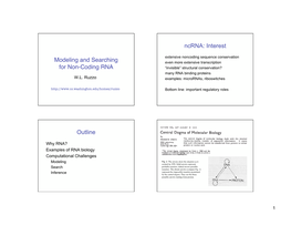 Noncoding RNA Slides