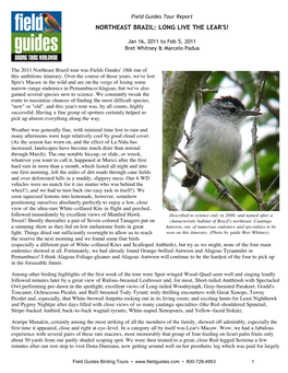 Field Guides Birding Tours: Northeast Brazil: Long