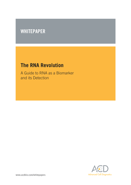 The RNA Revolution a Guide to RNA As a Biomarker and Its Detection