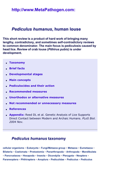 Pediculus Humanus, Human Louse, Head and Body