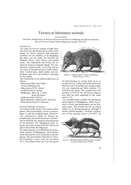 Tenrecs As Laboratory Animals