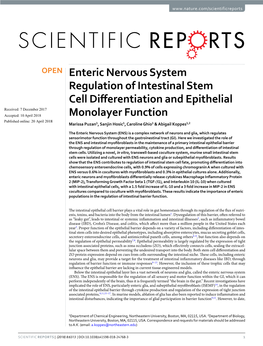 Enteric Nervous System Regulation of Intestinal Stem Cell Differentiation