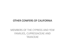 Other Conifers of California