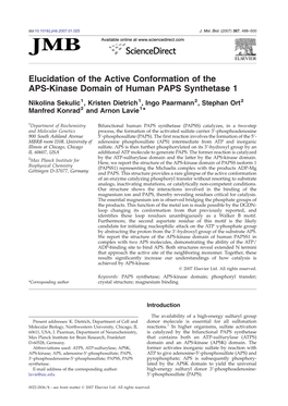 Elucidation of the Active Conformation of the APS-Kinase Domain of Human PAPS Synthetase 1