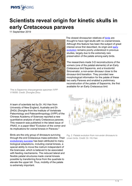 Scientists Reveal Origin for Kinetic Skulls in Early Cretaceous Paraves 11 September 2019