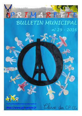 Bulletin Municipal N° 29/2016