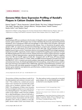 Genome-Wide Gene Expression Profiling of Randall's Plaques In