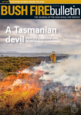 Devil a Tasmanian