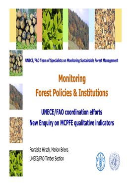 Monitoring Forest Policies & Institutions