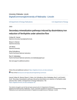 Secondary Mineralization Pathways Induced by Dissimilatory Iron Reduction of Ferrihydrite Under Advective Flow