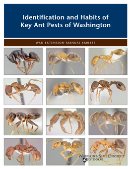 Identification and Habits of Key Ant Pests of Washington