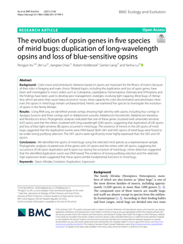 The Evolution of Opsin Genes in Five Species of Mirid Bugs