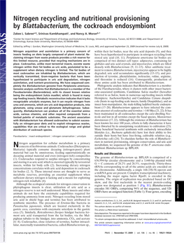 Nitrogen Recycling and Nutritional Provisioning by Blattabacterium, the Cockroach Endosymbiont