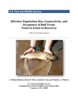 Effective Population Size, Connectivity, and Occupancy of Bull Trout: Tools to Assist in Recovery