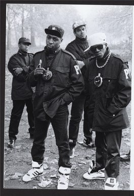 Public Enemy 2013.Pdf