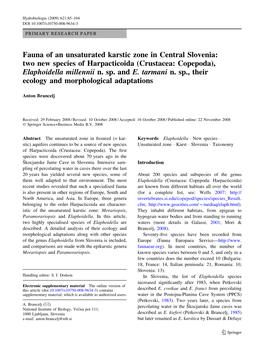 Fauna of an Unsaturated Karstic Zone in Central Slovenia: Two New Species of Harpacticoida (Crustacea: Copepoda), Elaphoidella Millennii N