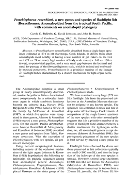 Protoblepharon Rosenblatti, a New Genus And