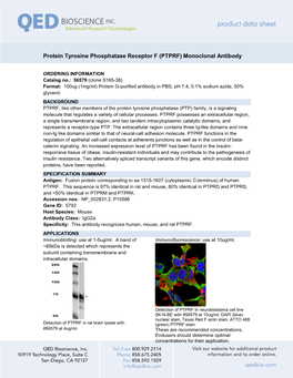 Protein Tyrosine Phosphatase Receptor F (PTPRF) Monoclonal Antibody