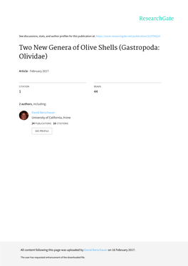 Two New Genera of Olive Shells (Gastropoda: Olividae)