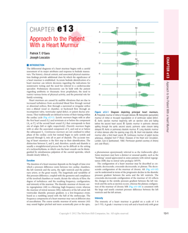 CHAPTER E13 Approach to the Patient with a Heart Murmur