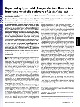 Repurposing Lipoic Acid Changes Electron Flow in Two Important