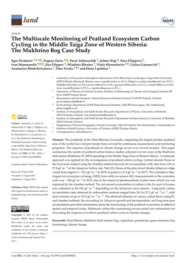 The Multiscale Monitoring of Peatland Ecosystem Carbon Cycling in the Middle Taiga Zone of Western Siberia: the Mukhrino Bog Case Study