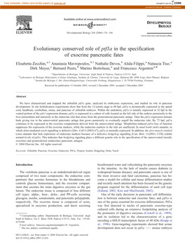 Evolutionary Conserved Role of Ptf1a in the Specification of Exocrine Pancreatic Fates