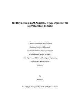 Identifying Dominant Anaerobic Microorganisms for Degradation of Benzene