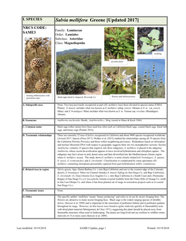 Salvia Mellifera Greene [Updated 2017] NRCS CODE: Family: Lamiaceae SAME3 Order: Lamiales Subclass: Asteridae Class: Magnoliopsida