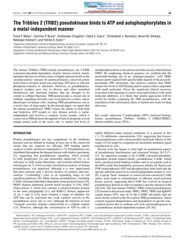 The Tribbles 2 (TRB2) Pseudokinase Binds to ATP and Autophosphorylates in a Metal-Independent Manner Fiona P