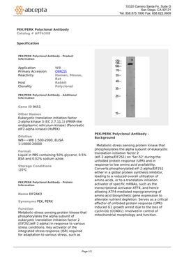 PEK/PERK Polyclonal Antibody Catalog # AP74308