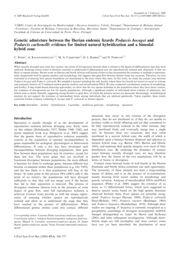 Evidence for Limited Natural Hybridization and a Bimodal Hybrid Zone