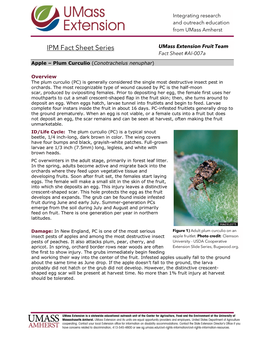 IPM Fact Sheet Series Umass Extension Fruit Team Fact Sheet #AI-007A Apple – Plum Curculio (Conotrachelus Nenuphar)