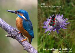 100 Nature Adventures in Southwest Jutland