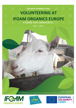Volunteering at Ifoam Organics Europe
