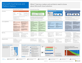 Microsoft Cloud Services and Platform Options