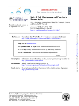 Human Aging Naive T Cell Maintenance and Function In