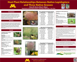 Host Plant Relationships Between Native Lepidoptera and Three Native Grasses Diane M