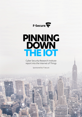 Cyber Security Research Institute Report Into the Internet of Things