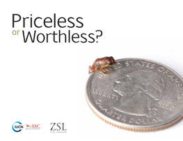 Priceless-Or-Worthless.Pdf