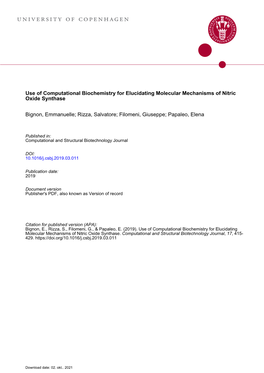 Use of Computational Biochemistry for Elucidating Molecular Mechanisms of Nitric Oxide Synthase