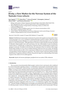 Rimbp, a New Marker for the Nervous System of the Tunicate Ciona Robusta