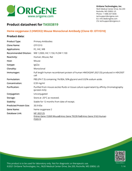 (HMOX2) Mouse Monoclonal Antibody [Clone ID: OTI1D10] Product Data