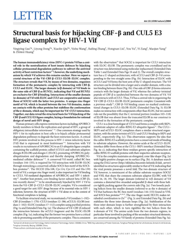 Structural Basis for Hijacking CBF-B and CUL5 E3 Ligase Complex by HIV-1 Vif