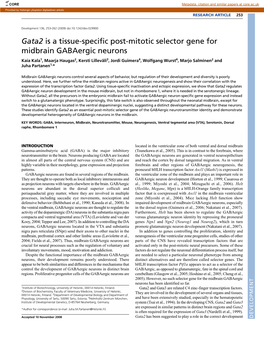 Gata2 Is a Tissue-Specific Post-Mitotic Selector Gene for Midbrain