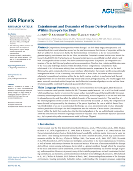 Entrainment and Dynamics of Ocean‐Derived Impurities Within Europa's