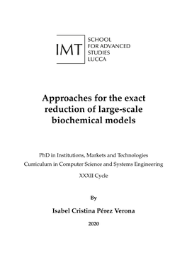 Approaches for the Exact Reduction of Large-Scale Biochemical Systems