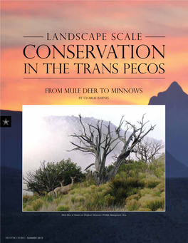 DOWNLOAD LANDSCAPE SCALE Conservation in the TRANS